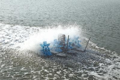 Sagar manufacturer image of paddle wheel aerator operating in water